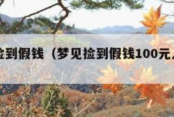 梦见捡到假钱（梦见捡到假钱100元人民币）