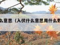 入伏什么意思（入伏什么意思用什么数字代替）