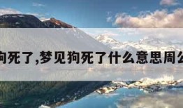 梦见狗死了,梦见狗死了什么意思周公解梦