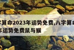 八字算命2023年运势免费,八字算命2023年运势免费鼠与猴