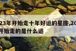 2023年开始走十年好运的星座,2023年开始走的是什么运