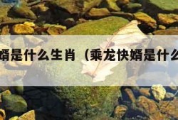 乘龙快婿是什么生肖（乘龙快婿是什么生肖数字）