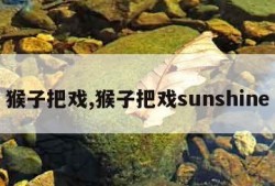 猴子把戏,猴子把戏sunshine