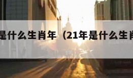 21年是什么生肖年（21年是什么生肖年份）