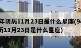 94年阴历11月23日是什么星座(94年农历11月23日是什么星座)