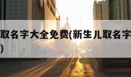 新生儿取名字大全免费(新生儿取名字大全免费查询)