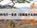 花圈是特马打一生肖（花圈是什么动物生肖）