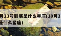 10月23号到底是什么星座(10月23号的是什么星座)