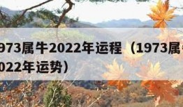 1973属牛2022年运程（1973属牛2022年运势）