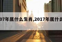 2007年属什么生肖,2017年属什么生肖