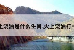 火上浇油是什么生肖,火上浇油打一字