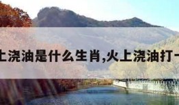 火上浇油是什么生肖,火上浇油打一字