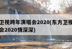 东方卫视跨年演唱会2020(东方卫视跨年演唱会2020情深深)