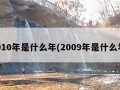 2010年是什么年(2009年是什么年)