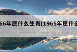 1966年属什么生肖(1965年属什么生肖)