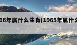 1966年属什么生肖(1965年属什么生肖)