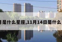 11月是什么星座,11月14日是什么星座