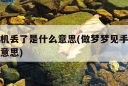 梦见手机丢了是什么意思(做梦梦见手机丢了是什么意思)