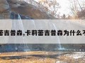 卡莉蕾吉普森,卡莉蕾吉普森为什么不火了