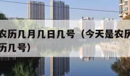 今天是农历几月几日几号（今天是农历几月几日是阳历几号）