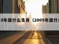 2019年属什么生肖（2009年属什么生肖）