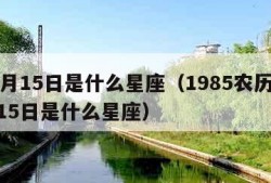 12月15日是什么星座（1985农历12月15日是什么星座）