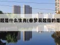 春梦易醒是什么生肖(春梦易醒指的是什么生肖)