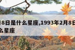 2月8日是什么星座,1993年2月8日是什么星座