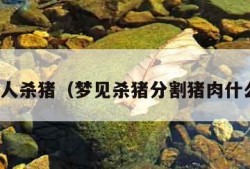 梦见别人杀猪（梦见杀猪分割猪肉什么预兆）