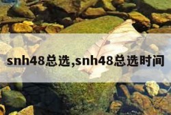 snh48总选,snh48总选时间