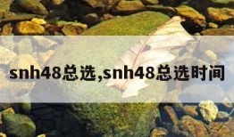 snh48总选,snh48总选时间