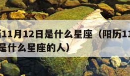 阳历11月12日是什么星座（阳历11月12日是什么星座的人）