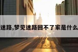 梦见迷路,梦见迷路回不了家是什么预兆