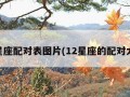 12星座配对表图片(12星座的配对大全)