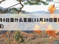 11月8日是什么星座(11月28日是什么星座)