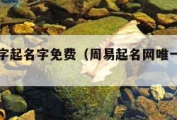 生辰八字起名字免费（周易起名网唯一官网免费）