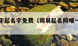 生辰八字起名字免费（周易起名网唯一官网免费）