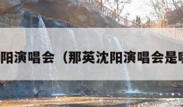 那英沈阳演唱会（那英沈阳演唱会是哪一年）