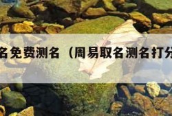 周易取名免费测名（周易取名测名打分测试免费）