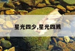 星光四少,星光四溅