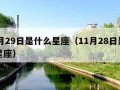 11月29日是什么星座（11月28日是什么星座）