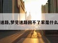 梦见迷路,梦见迷路回不了家是什么预兆