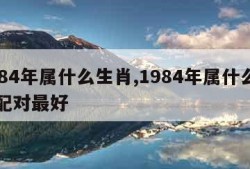 1984年属什么生肖,1984年属什么生肖配对最好