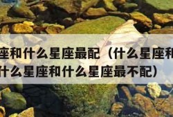 什么星座和什么星座最配（什么星座和什么星座最配什么星座和什么星座最不配）