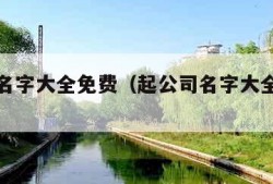 起公司名字大全免费（起公司名字大全免费简单）