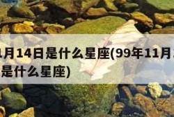 11月14日是什么星座(99年11月14日是什么星座)