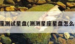 星座测试星盘(测测星座星盘怎么看)