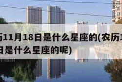 农历11月18日是什么星座的(农历11月18日是什么星座的呢)