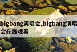 bigbang演唱会,bigbang演唱会在线观看