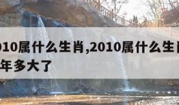 2010属什么生肖,2010属什么生肖 今年多大了